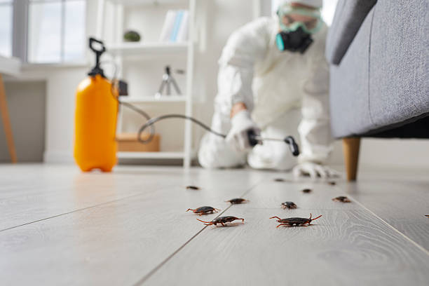 Trusted Termite Control service in Colonia, NJ - Nex Pest Control